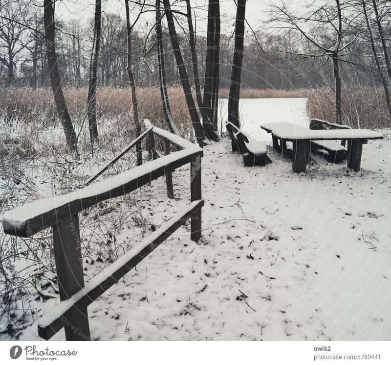 Cool prospects Lounges Nature Winter rail Upper Lusatian Biosphere Reserve Fishpond Landscape Deserted Bushes Lakeside Environment Colour photo Calm Cold