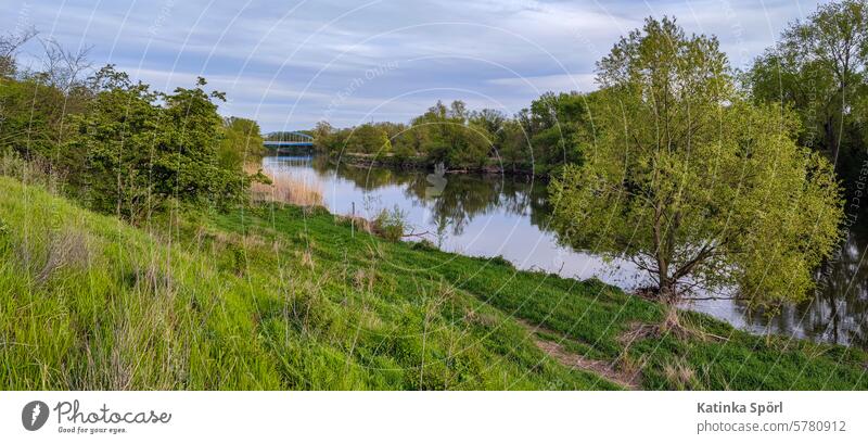 Saale riverbank Halle (Saale) Hall Saale Germany Deserted Body of water Saxony Anhalt Water Saxony-Anhalt in the evening Relaxation River River bank Hall/Saale