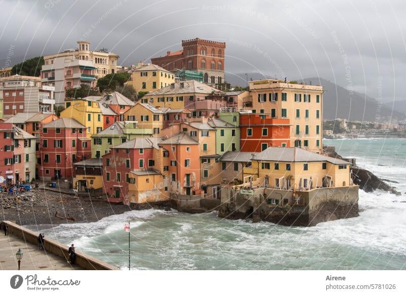 Sense of community Fishing village Panorama (View) Slope Vacation & Travel Mediterranean sea Ocean Harbour Fishing port Maritime Long shot Idyll Bay Italy Water