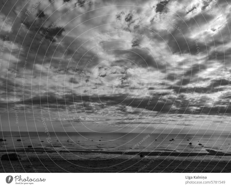 Baltic sea Black & white photo Photography Black and white photography black-and-white Analog Black and white image Landscape Beach Tourism Beautiful weather