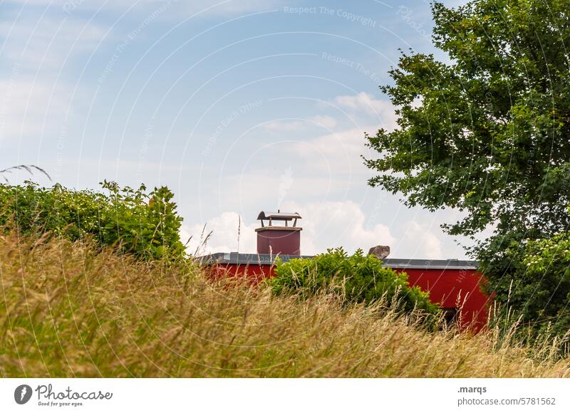 House in the green Rural Ecological dwell Clouds Tree Loneliness Green Living or residing naturally Grass Environment Landscape Sky Nature