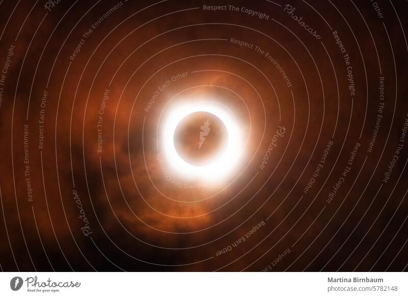 Total solar eclipse over Texas in April 2024 total eclipse sky sun full science sunlight moon astronomy natural event beautiful space ring shadow illustration