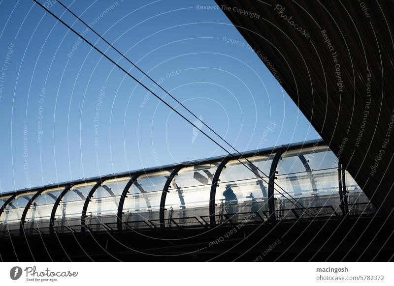 Glazed pedestrian bridge backlit at Munich Airport Contrast Sky Human being Silhouette Shadow Exterior shot Sunlight Colour photo Back-light Sunset Sunrise