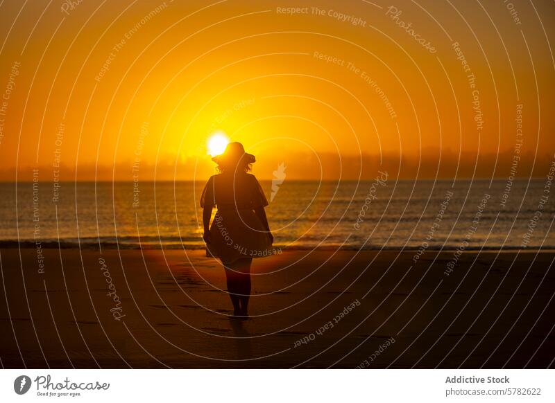 Serene sunset beach walk by a woman silhouette leisure nature sea sand golden hour relaxing tranquil serene coastline horizon dusk evening warm glow solitude