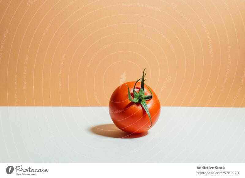 Fresh tomato on a two-tone background red ripe fresh stem green vibrant two tone white orange simplicity vegetable food healthy organic ingredient cooking