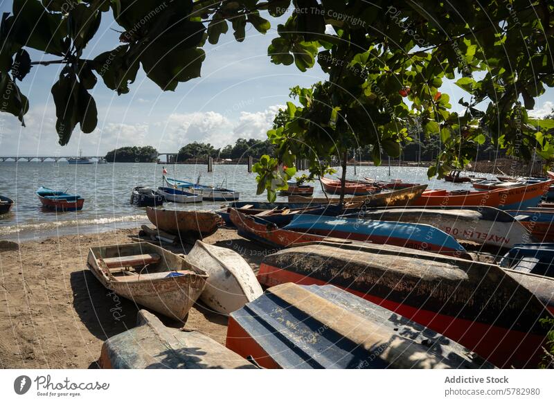 Boats ashore in tranquil Samaná Bay, Dominican Republic boat samaná dominican republic bay sandy waterfront greenery colorful resting seaside travel tourism