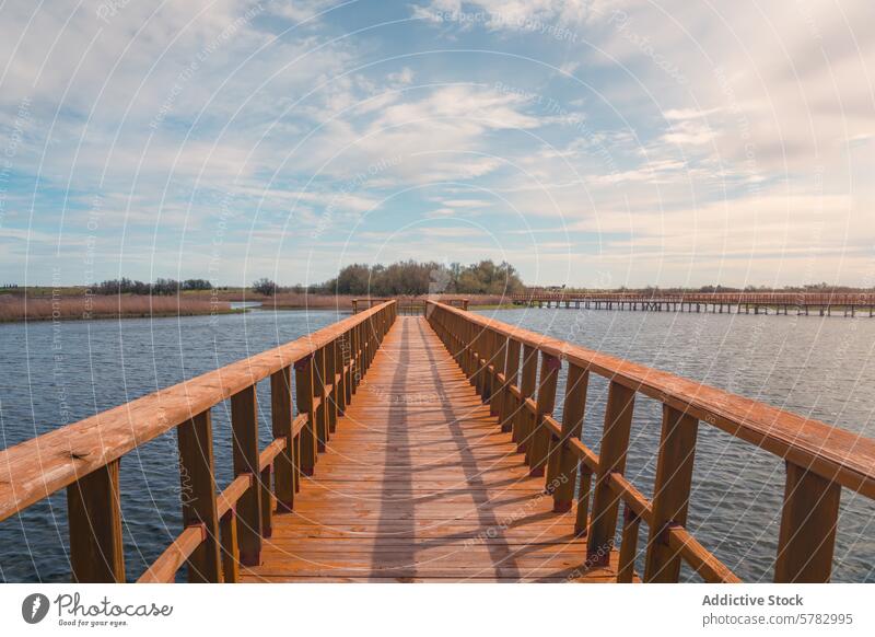 Serene wooden walkway over water at Tablas de Daimiel serene tablas de daimiel natural park castilla la mancha spain tranquil boardwalk calm picturesque sky