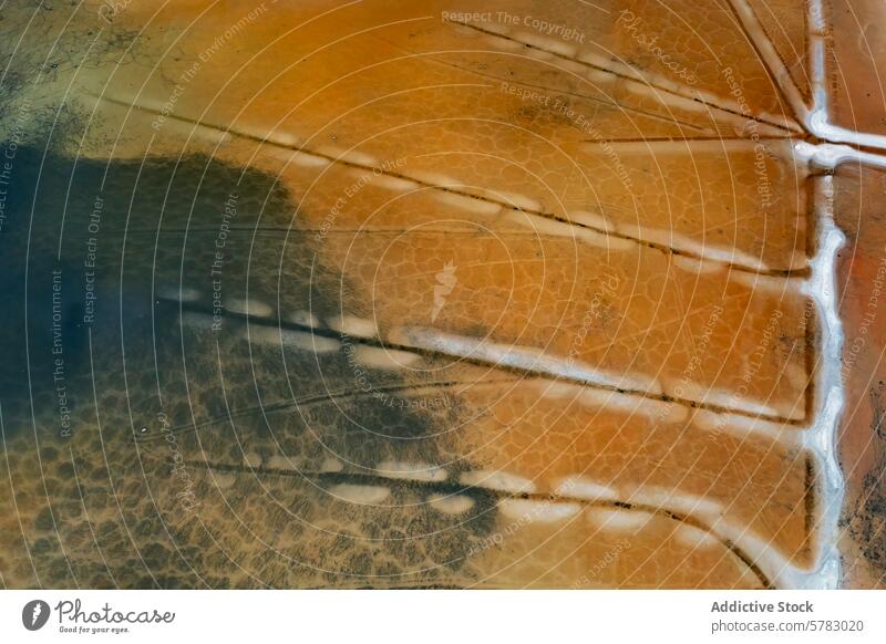 Aerial view of the textured Salt Lagoons in Toledo aerial drone shot pattern salt lagoon toledo spain natural beauty earthy intriguing overhead photography