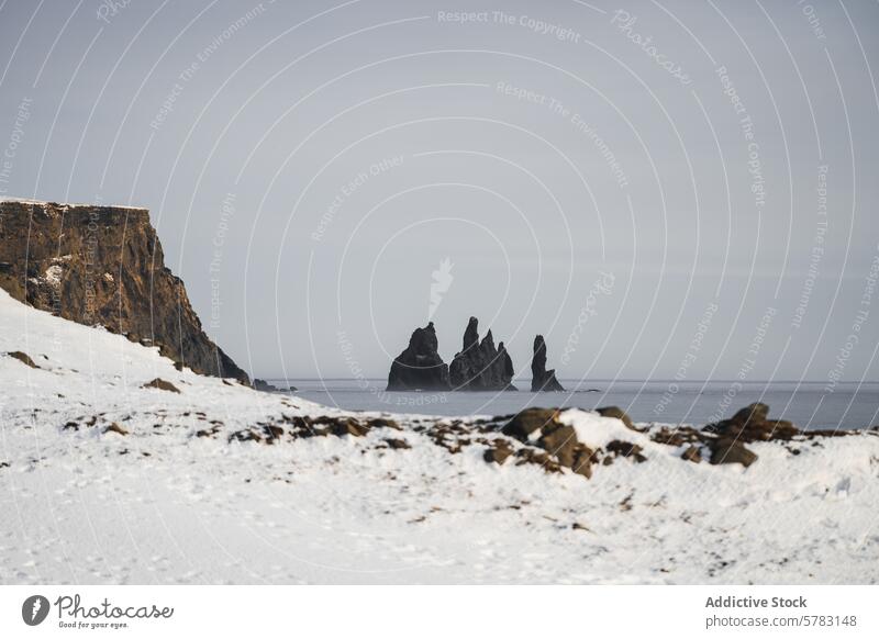 Serene Icelandic seascape with snowy cliffs and rock formations iceland landscape tranquility overcast sky serene white grey nature ocean natural wonder winter