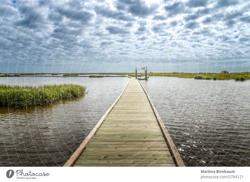 The pier at the Sea Rim State Park in Port Arthur, Texas texas beach nature state park landscape travel blue outdoor vacation sea holiday clouds background port