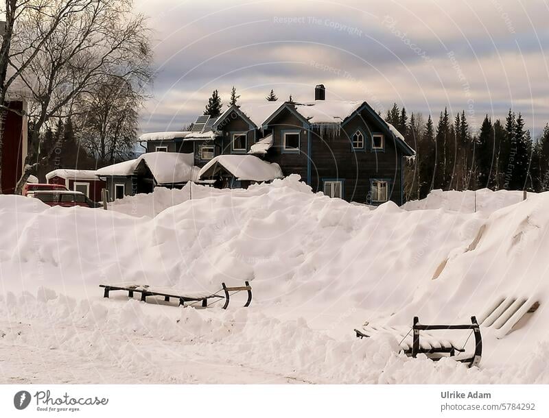 Lapland | Sunken in the snow Landscape Miracle of Nature silent Freedom Gorgeous idyllically Tourism Winter vacation Scandinavia Vacation & Travel Cold