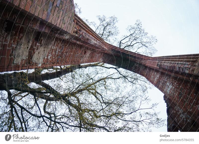 Brick Gothic, tree above the archway of the Eldena monastery caspar david friedrich Sky Clouds Exterior shot Historic Tourist Attraction Deserted