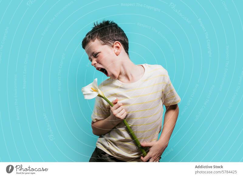 Boy making a face while holding a flower boy grimace calla lily blue background child expression distaste young facial expression striped shirt white flower