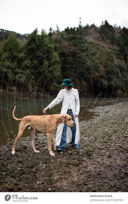 Woman with large dog by a riverside in nature person big dog woodland pet tranquility outdoors woman hat walking dog animal forest large breed companionship