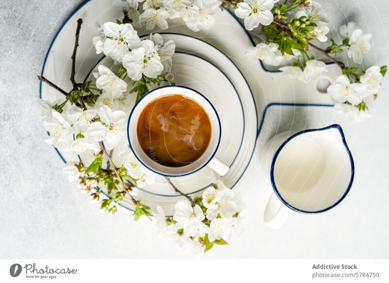 Coffee cup with spring blossom on a white background coffee milk jug top view beverage floral tableware nature decor freshness morning breakfast enamel dish