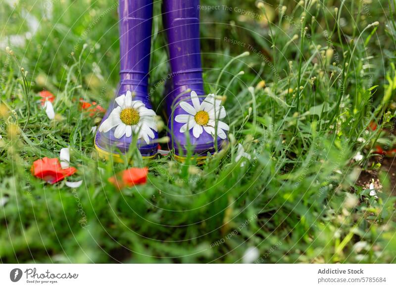 Purple rain boots amidst spring flowers in a garden purple grass outdoor footwear daisy white green decoration petal nature season blossom floral leisure