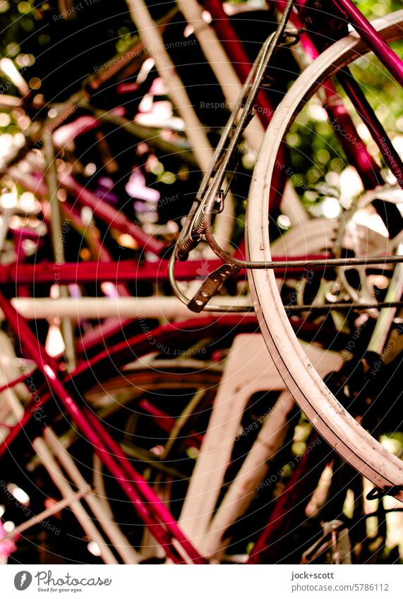 Collection of used bicycles Bicycle Detail Many Structures and shapes Design luggage carrier Shadow blurriness Retro Old Means of transport Vertical Hang