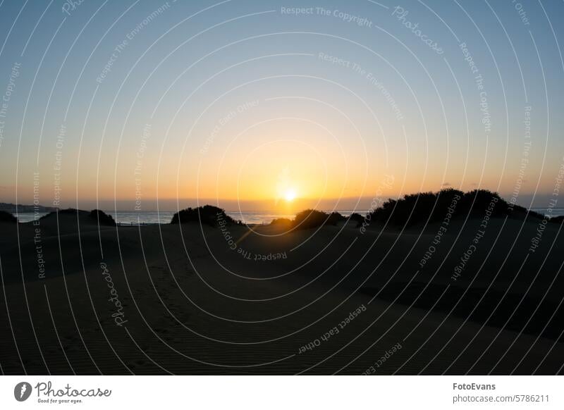 Sunrise over the sand dunes with sea Maspalomas dry endless nature water Gran Canaria background orange morning beach ocean vacation spot morning light Europe