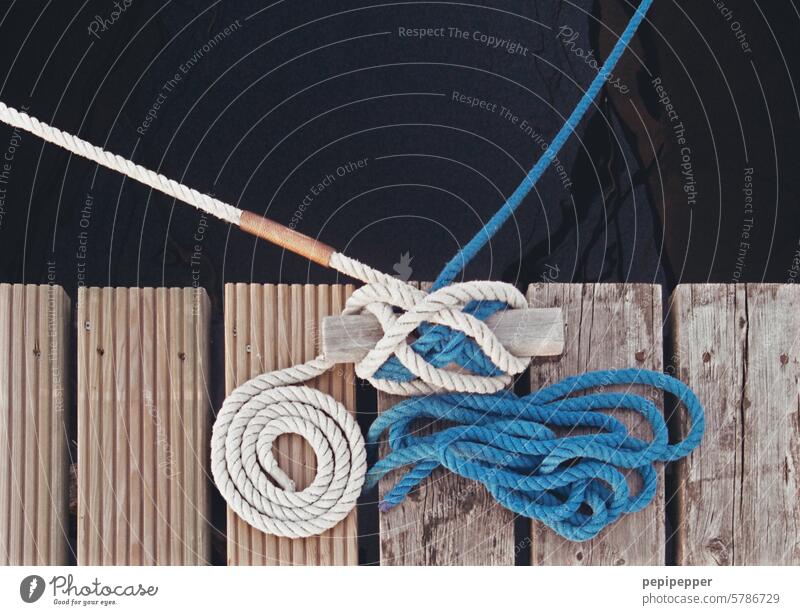 Jetty with two ropes jetty Jetties Water Exterior shot Footbridge Colour photo Deserted Dew Rope wooden walkway Harbour Surface of water Reflection