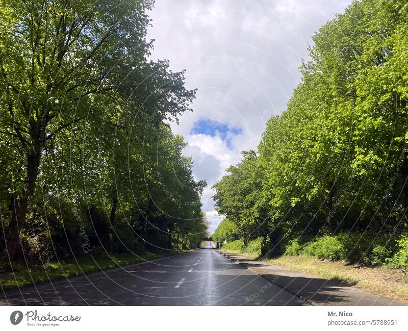 highway Country road In transit Lane markings on the road Lanes & trails Traffic infrastructure Road traffic Street Transport Out of town two lanes empty street