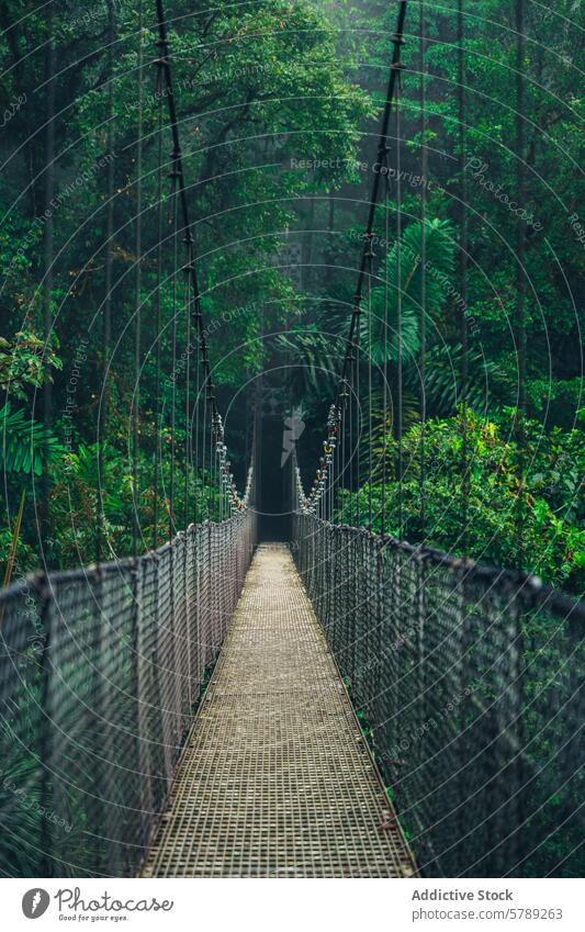 Misty suspension bridge in Costa Rican rainforest costa rica mist greenery lush adventure nature serenity jungle travel tourism path exotic tropical foliage