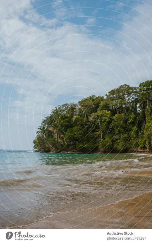 Serene Costa Rican Beach with Lush Green Forest costa rica beach forest tropical landscape nature peaceful serene sand wave cloud sky travel destination tourism