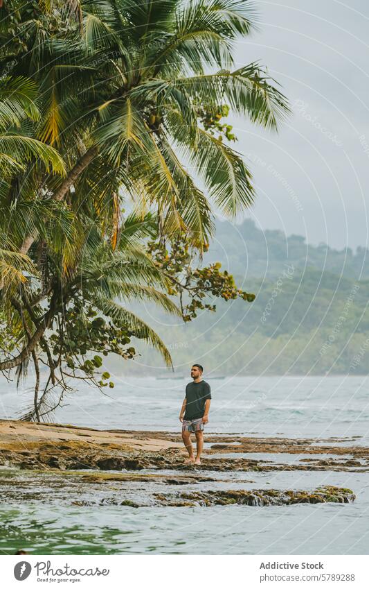 Serene beachside solitude in Costa Rica costa rica person coastline serene palm tree tropical travel leisure calm nature landscape scenery tranquility ocean sea