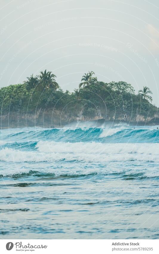 Tranquil Costa Rican Beach with Rolling Waves costa rica beach wave tranquility serene lush greenery palm tree tropical coastline roll sea ocean water surf calm