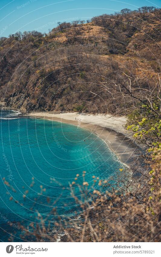 Secluded Costa Rican Beach with Clear Blue Waters costa rica beach secluded serene tropical blue water ocean sand clear shore coastline forest dry vegetation