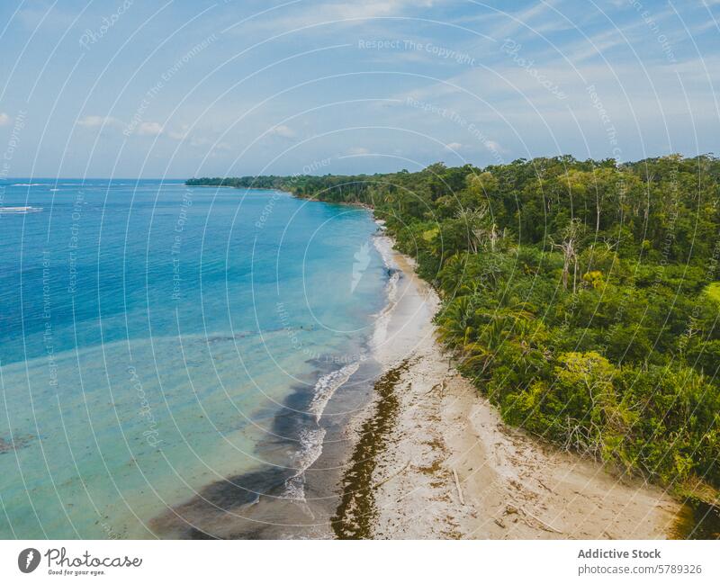 Pristine Costa Rican beach with lush forest backdrop costa rica aerial view serene blue water coastline tropical tranquility nature landscape travel