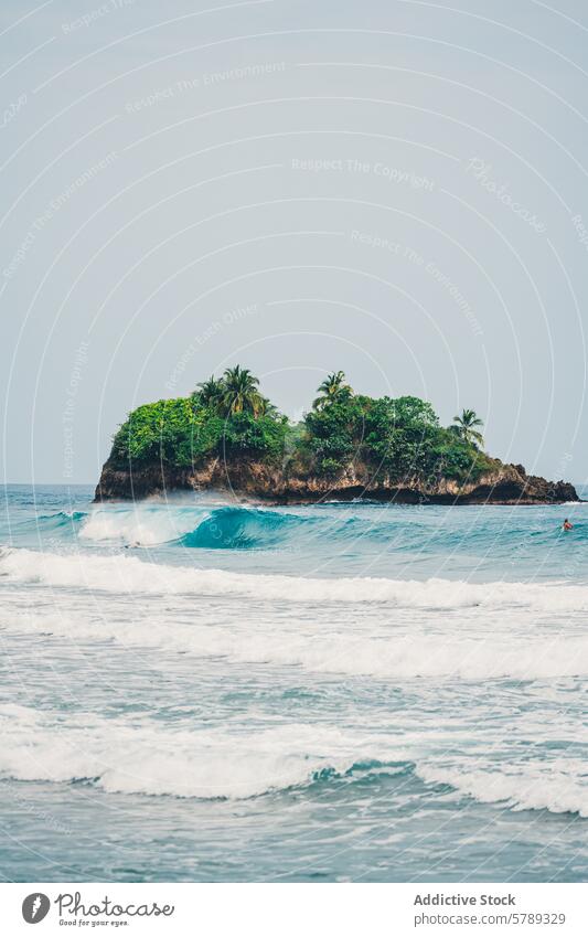 Serene Costa Rican coastline with lush islet costa rica palm tree ocean wave tranquil serene tropical sandy shore nature travel destination central america