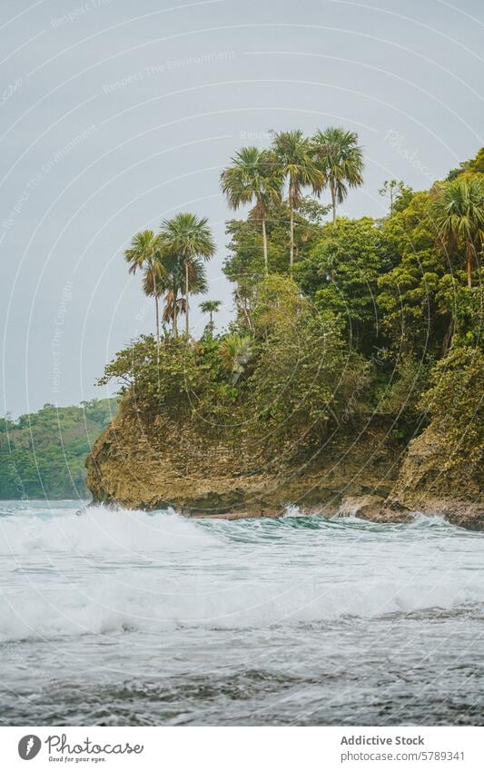 Peaceful tropical beach landscape in Costa Rica costa rica coastline palm tree pacific ocean lush nature scenic travel destination tourism water wave shore