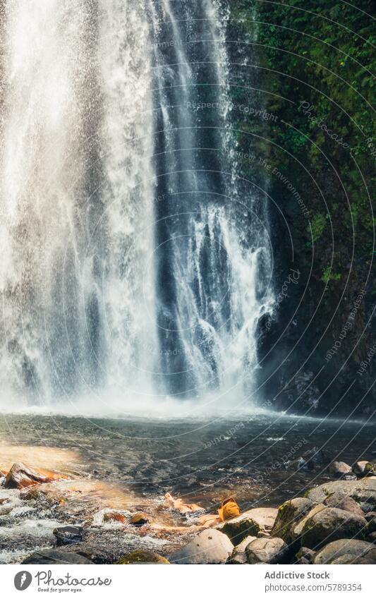 Tranquil Waterfall in Lush Costa Rican Landscape waterfall costa rica nature jungle forest green foliage cascade flow serene tranquil clear tourism travel