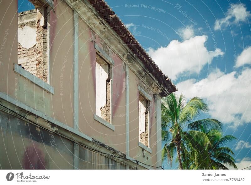 Abandoned colonial building in the tropics abandoned place abandoned building Ruin Ruined Building Damage Broken Tropical Palm tree Blue sky east timor