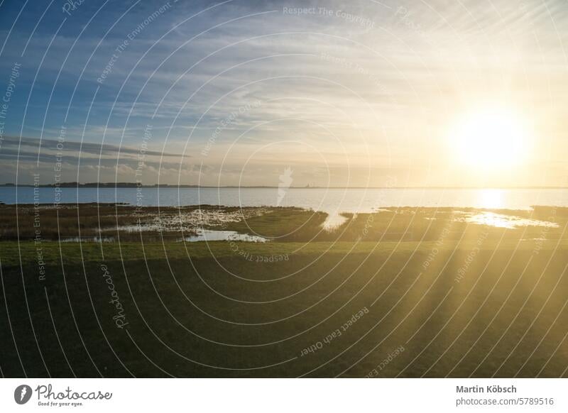 Sunset on the Bodden in Zingst on the Baltic Sea peninsula. Nature reserve sunset meadow water brackish water salt water holiday sea coast surf beach sunbeam