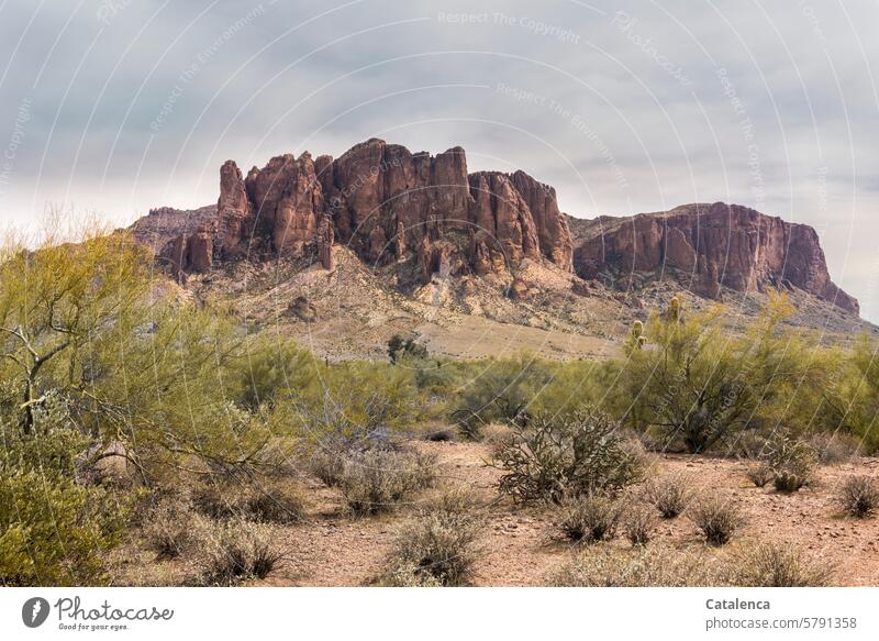 Rock formation in the background, bushes, sand, clouds in the sky Clouds stones Hiking mountains daylight Nature Day Environment Sky Landscape Vacation & Travel