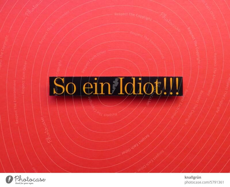 What an idiot!!! Aggravation Text Anger Emotions Aggression Frustration Grouchy Animosity Argument Moody Communicate Communication Deserted Characters