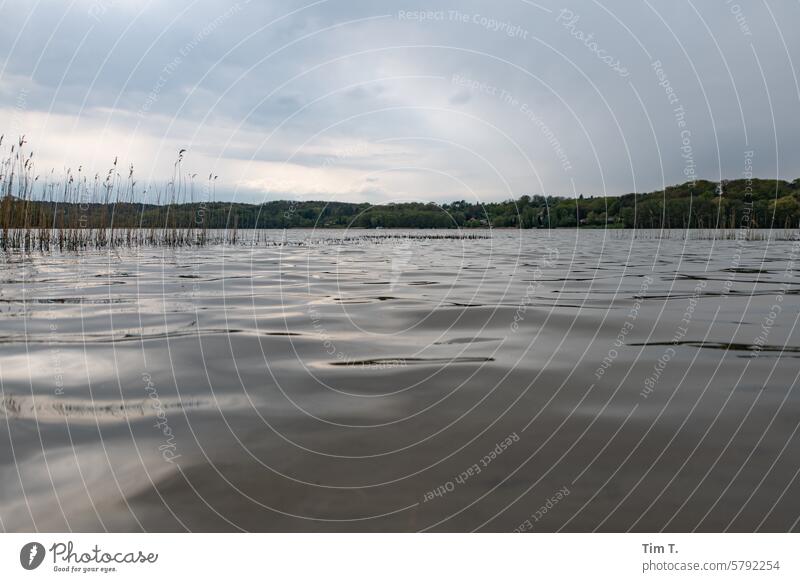 View over the lake Buckow Brandenburg Lake Colour photo Spring Exterior shot Nature Water Landscape Day Environment Idyll Deserted Lakeside Sky Surface of water