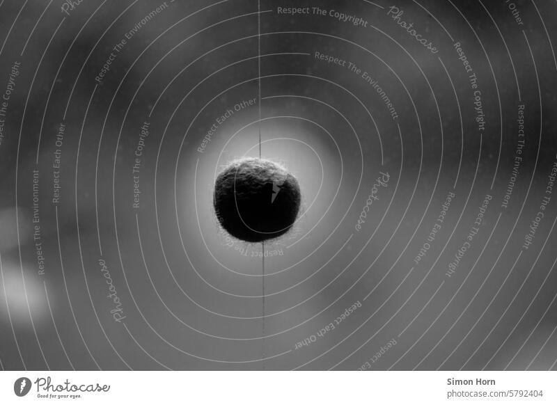 Felt dark hangs in the air like a model of a planet against a blurred background Sphere Ball Round Planet circularly Decoration Black & white photo Abstract