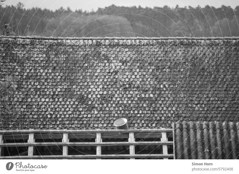 Old roof and open roof beams with a bucket on top Roof Roof beams Bucket Renovation brick outlook roofs rooftop landscape Old town Building Forest