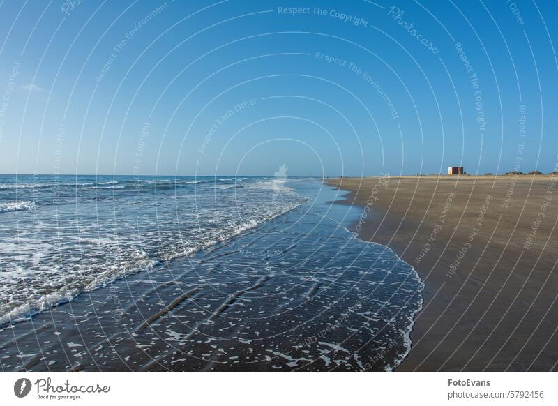 Sandy beach by the sea with waves horizon Maspalomas dry sand endless nature Gran Canaria background morning dune Spain golden morning light Europe summer time