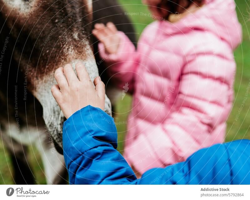 Children Enjoying a Day at the Farm with donkey family leisure grandparents grandchildren boy girl farm petting bonding outdoor activity childhood recreation