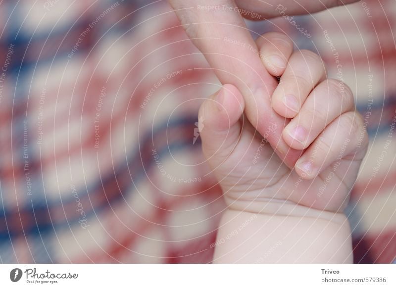 little finger grasps whole hand 2 Human being 0 - 12 months Baby Trust Hand Infancy instinct Offspring Parents Colour photo Interior shot Central perspective