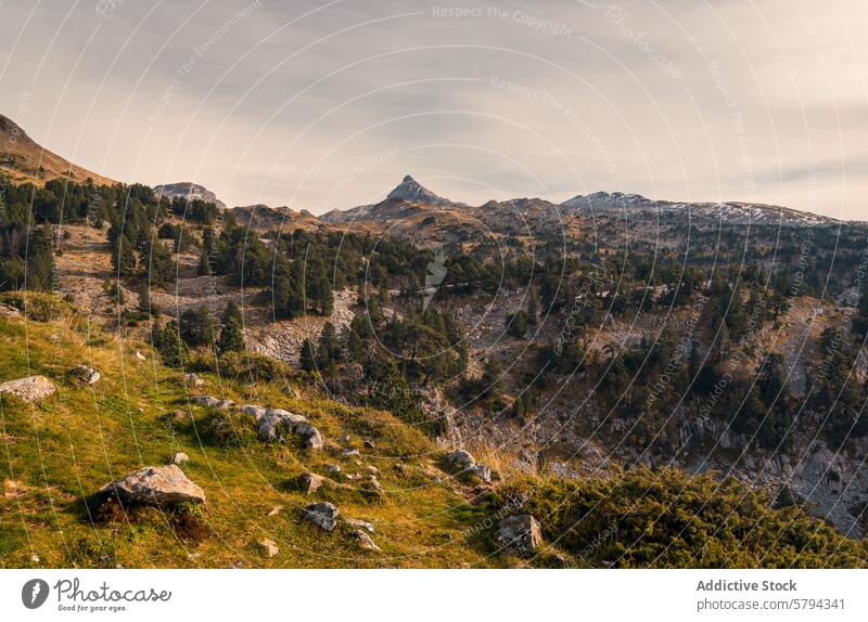 Autumn serenity in Pyrenees with Pic de Anie peak autumn pyrenees pic de anie aunamendi landscape mountain fall colors roncal valley navarra