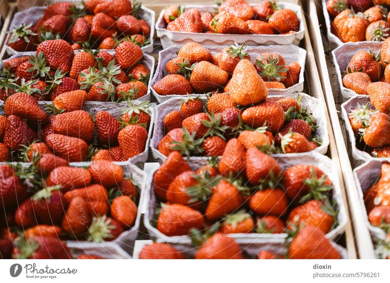 Market Day - Strawberry Fields Forever Markets Market stall Fresh Food Healthy Organic produce Vegetarian diet Nutrition Healthy Eating Vegan diet salubriously