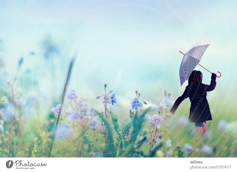 rain walk Flower meadow Woman Umbrella flowers meadow flowers Meadow Umbrellas & Shades wild flowers Human being feminine person Rain To go for a walk stroll