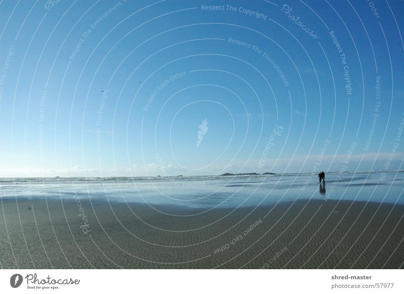 beach togetherness Beach Lovers Ocean To go for a walk In pairs