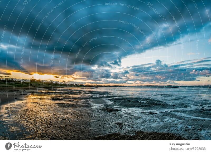 Sunset evening mood on the Wadden Sea North Sea coast Mud flats Cloud pattern Weather Raincloud North Sea Islands ebb and flow Tide wide colors reflection