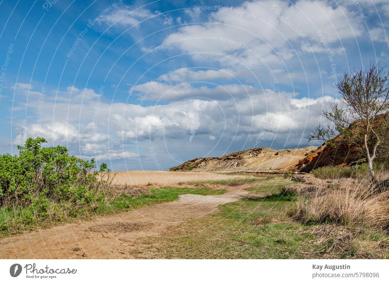 steep coast Sylt North Sea coast Exterior shot North Sea Islands Nature Sylt Island Sylt island Colour photo Morsum cliff morsumkliff Landscapes Nature reserve