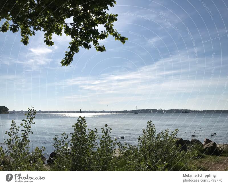 Ocean Race sailors and other ships in the Kiel Fjord, Heikendorf Bay yachtsmen Sailboat sailboats Kieler Förde Keel Fly by Northern Germany Schleswig-Holstein